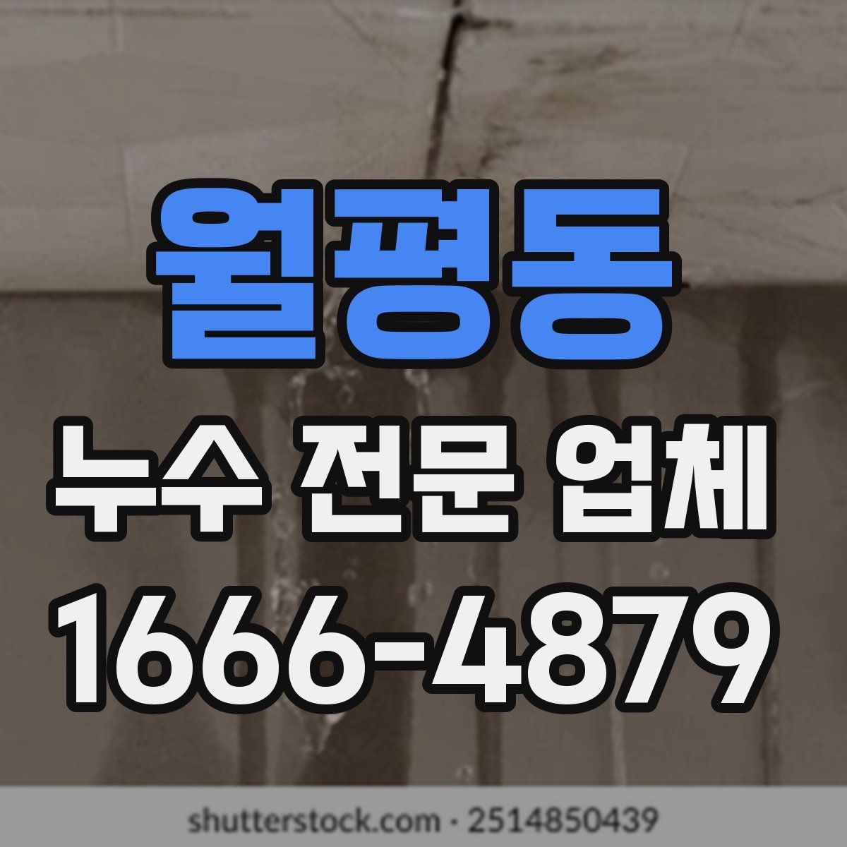월평동 누수 전문 업체