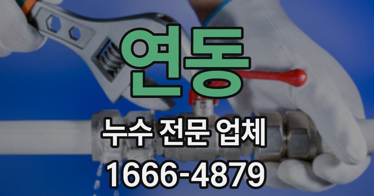 연동 누수 전문 업체