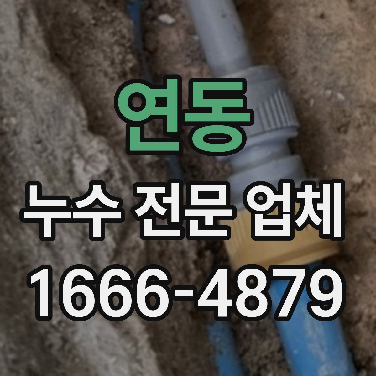 연동 누수 전문 업체