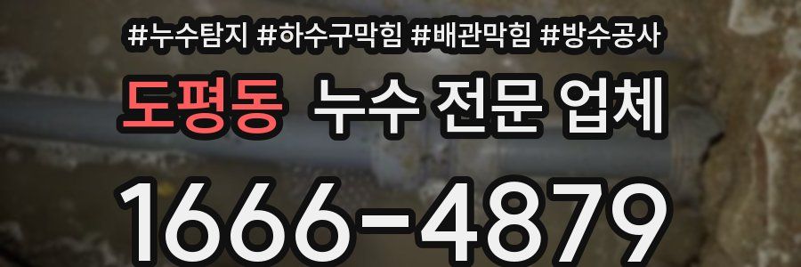 도평동 누수 전문 업체