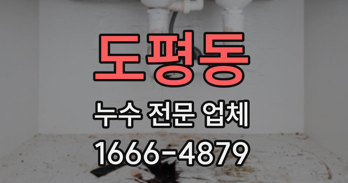 도평동 누수 전문 업체