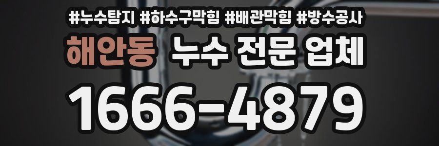 해안동 누수 전문 업체