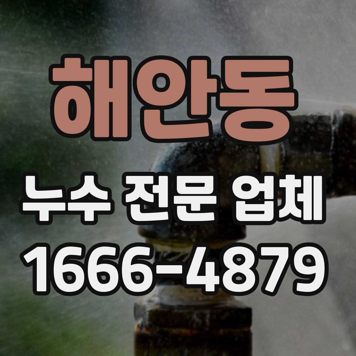 해안동 누수 전문 업체