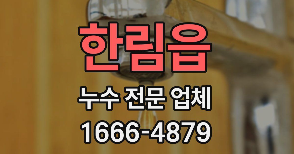 한림읍 누수 전문 업체
