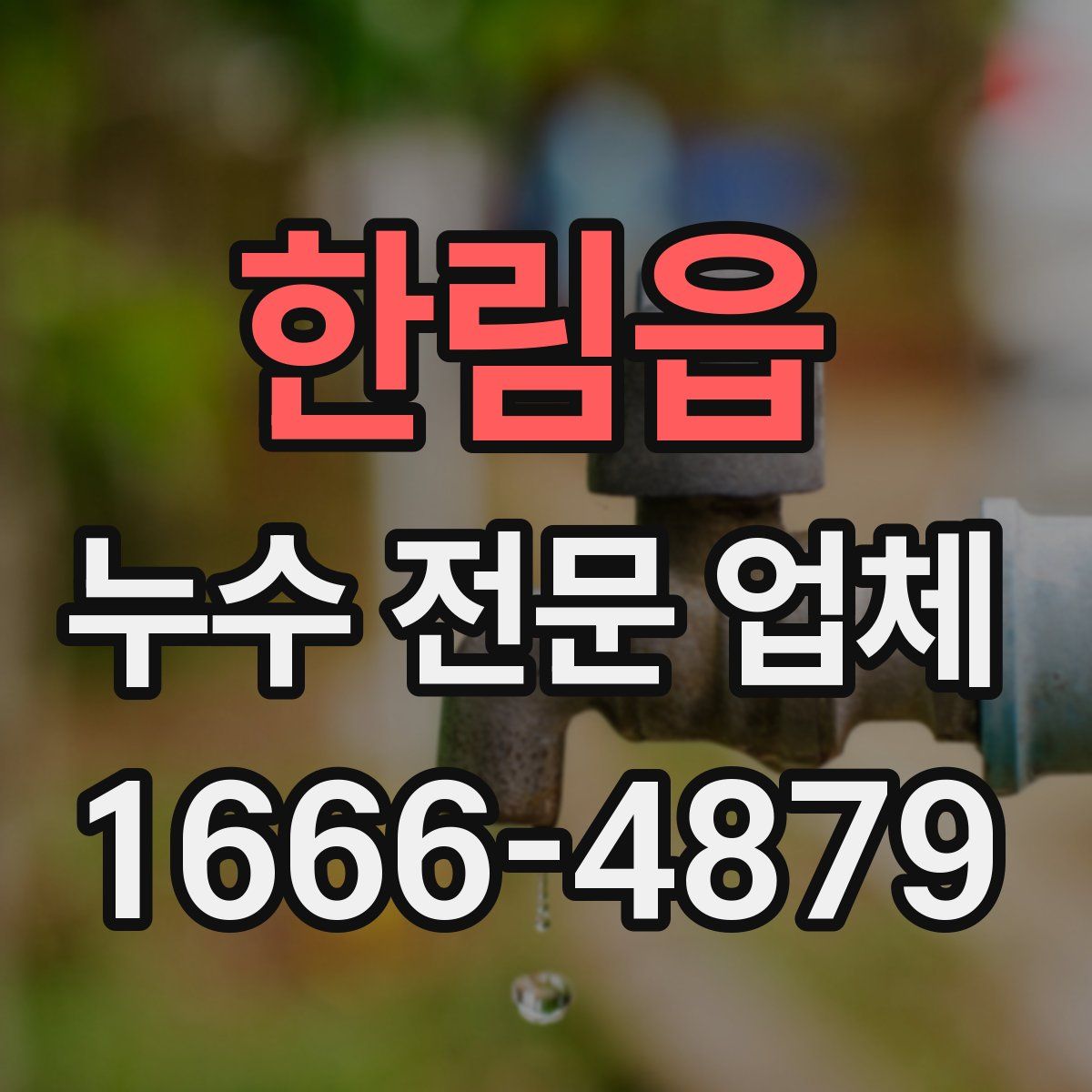 한림읍 누수 전문 업체