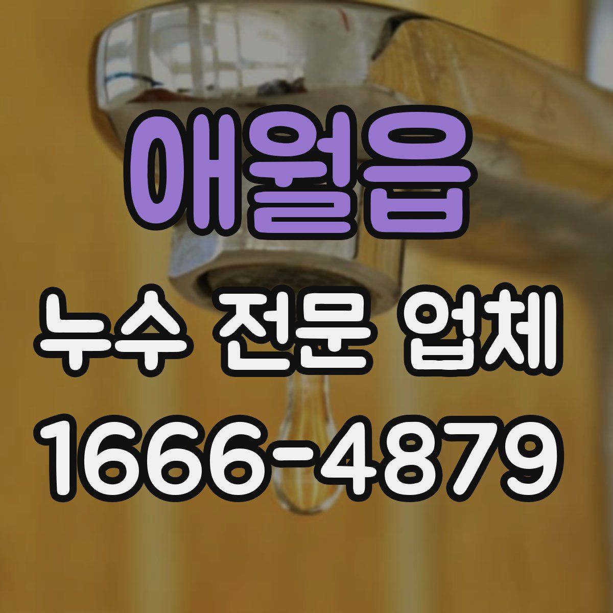 애월읍 누수 전문 업체