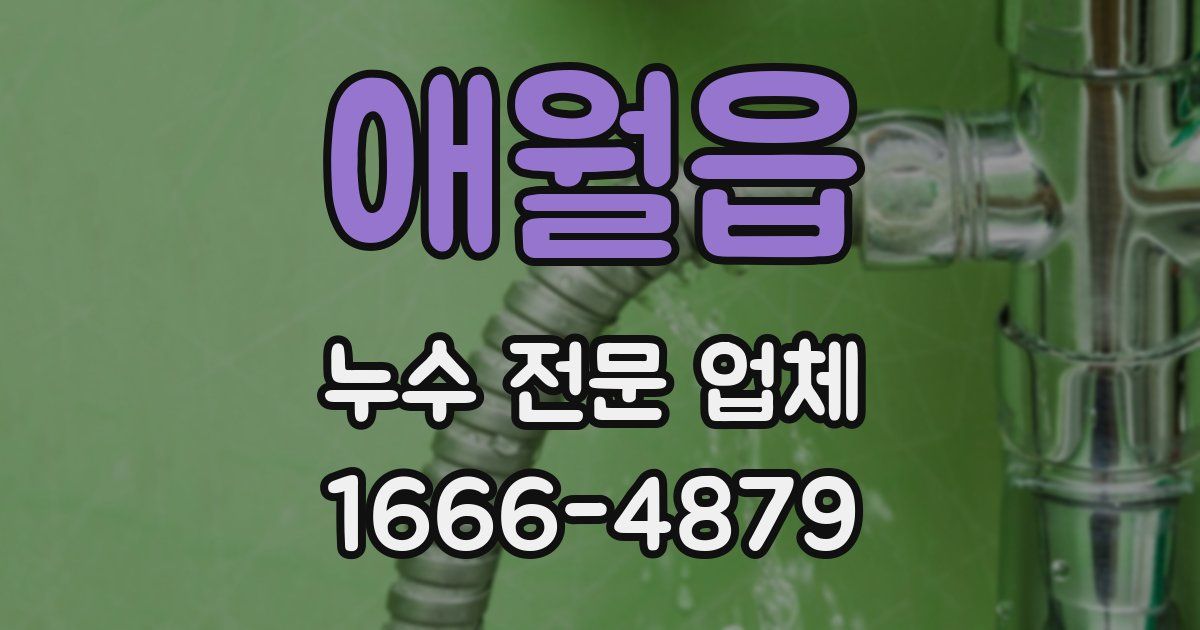 애월읍 누수 전문 업체