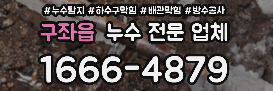 구좌읍 누수 전문 업체