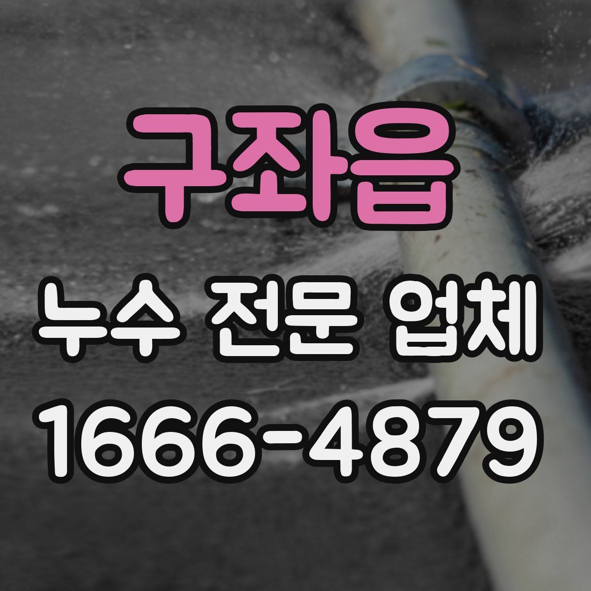 구좌읍 누수 전문 업체