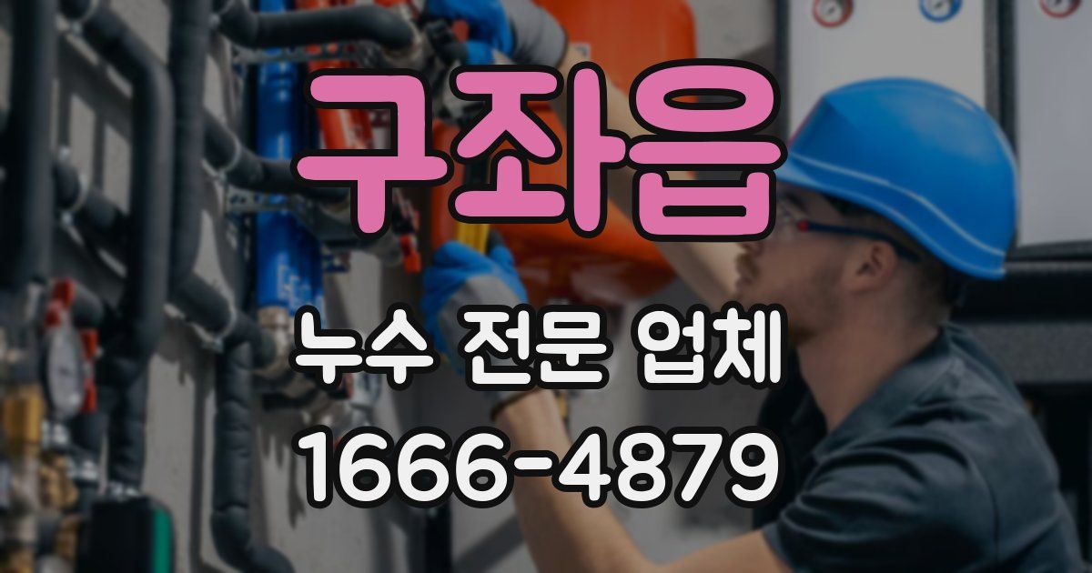 구좌읍 누수 전문 업체