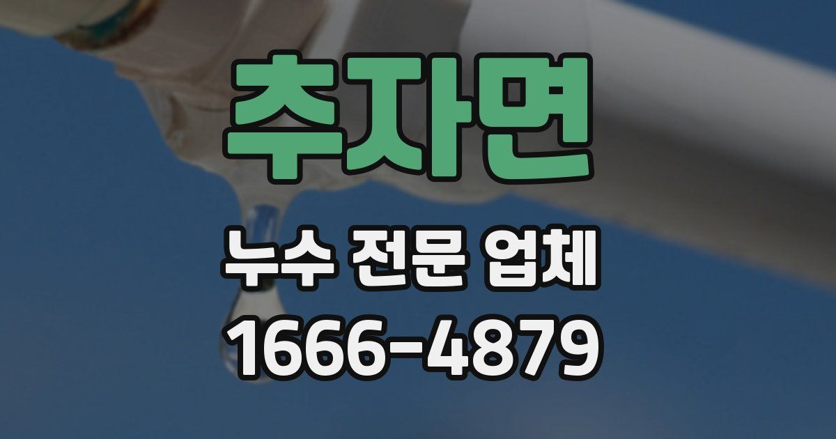추자면 누수 전문 업체