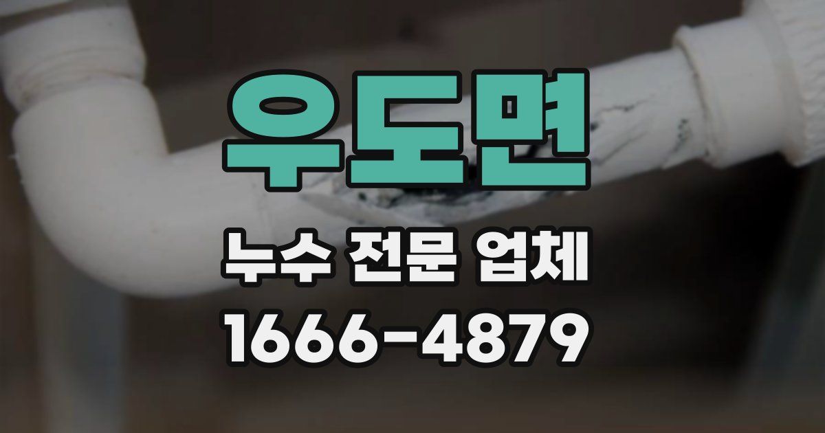 우도면 누수 전문 업체