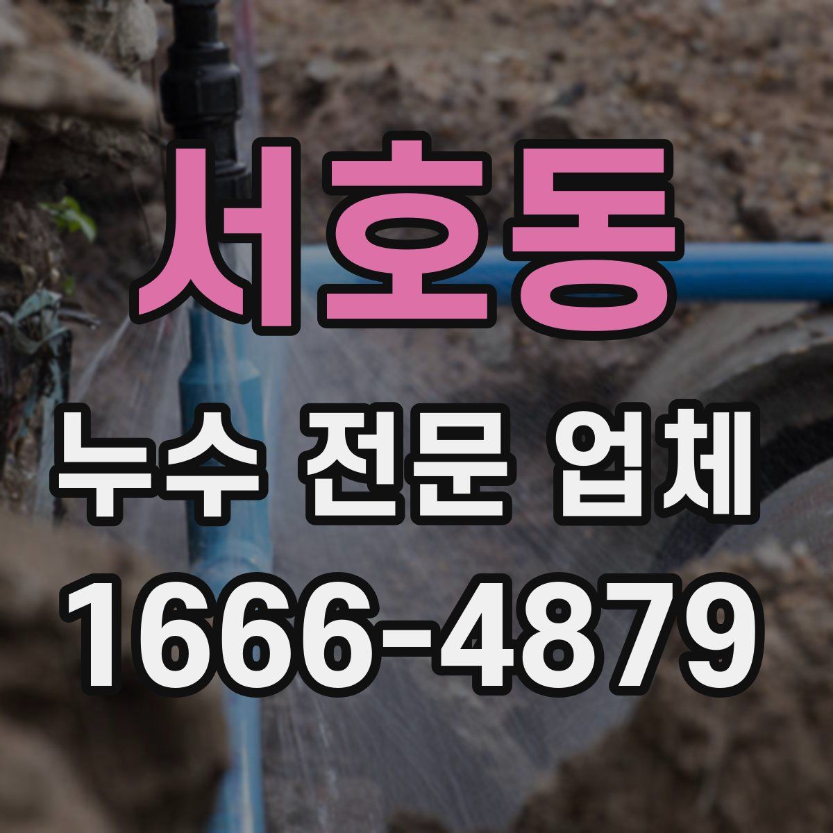 서호동 누수 전문 업체