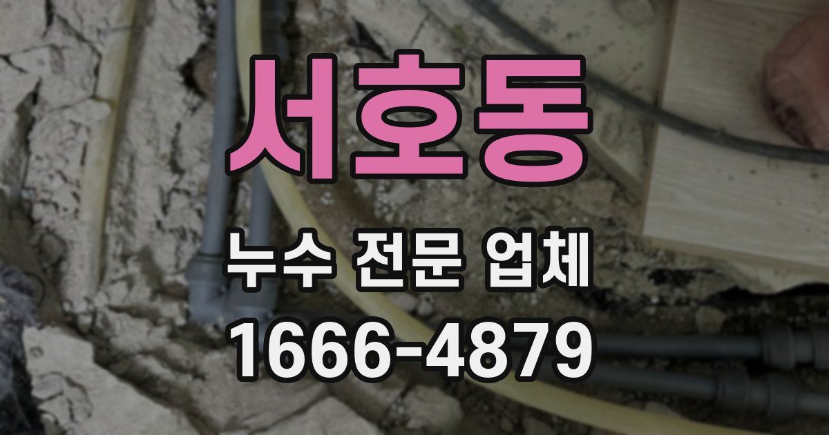 서호동 누수 전문 업체