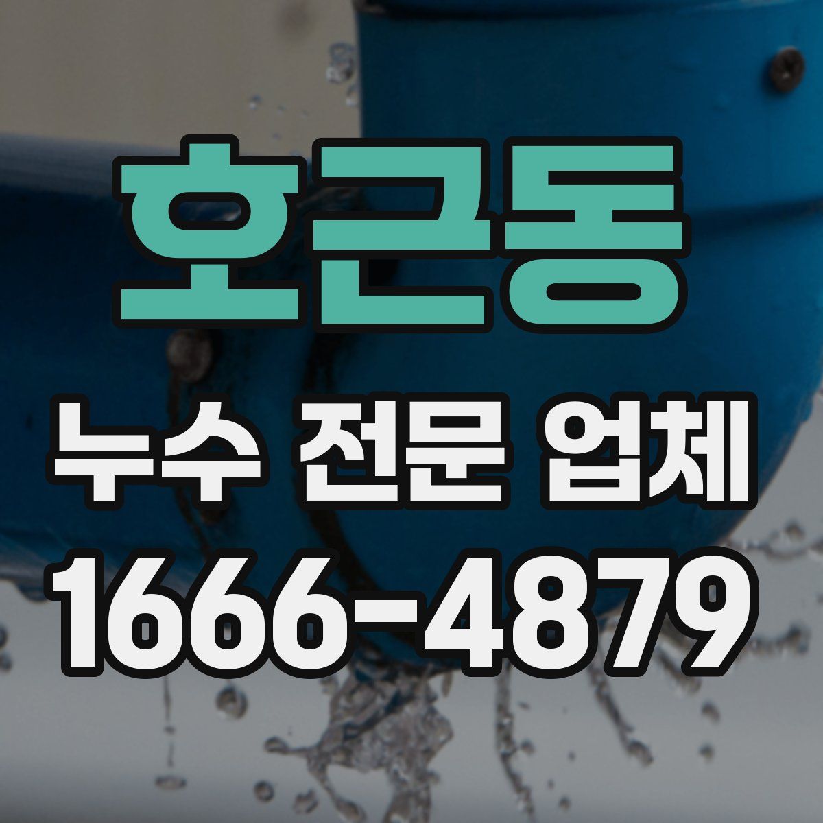 호근동 누수 전문 업체