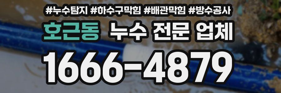 호근동 누수 전문 업체