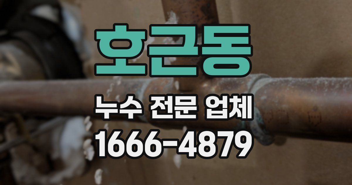 호근동 누수 전문 업체