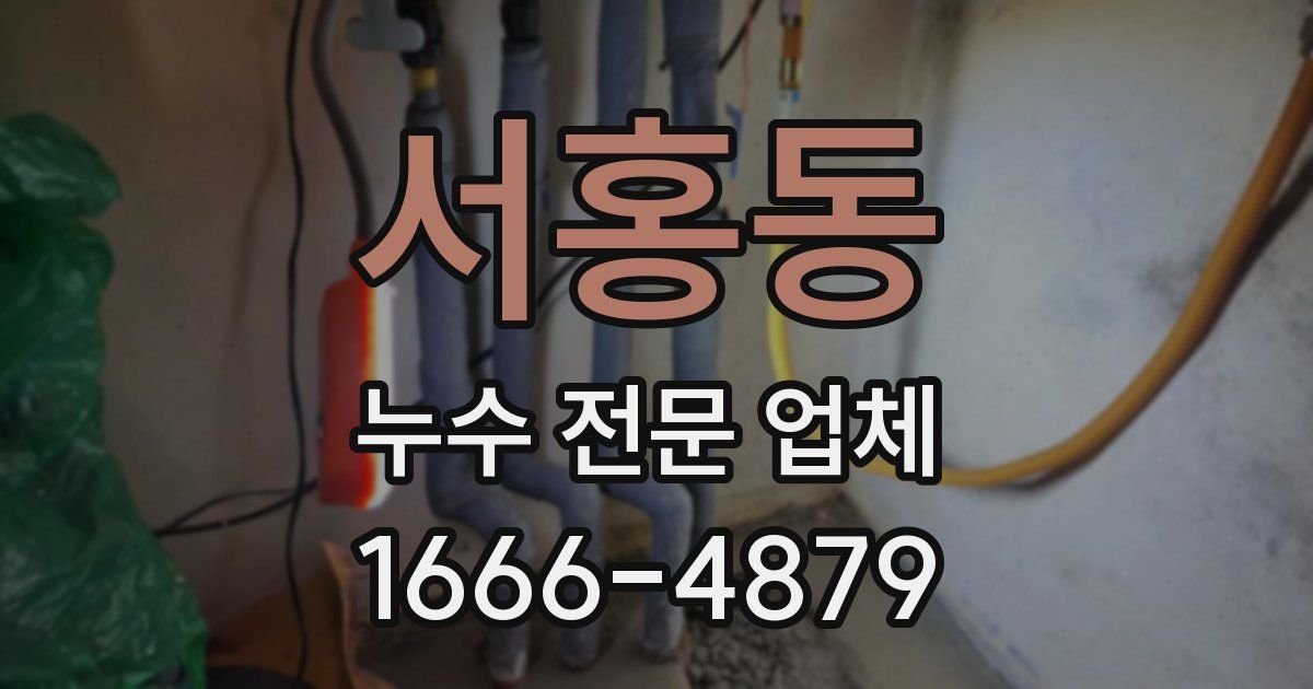 서홍동 누수 전문 업체