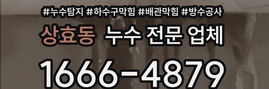 상효동 누수 전문 업체