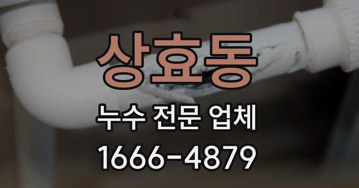 상효동 누수 전문 업체