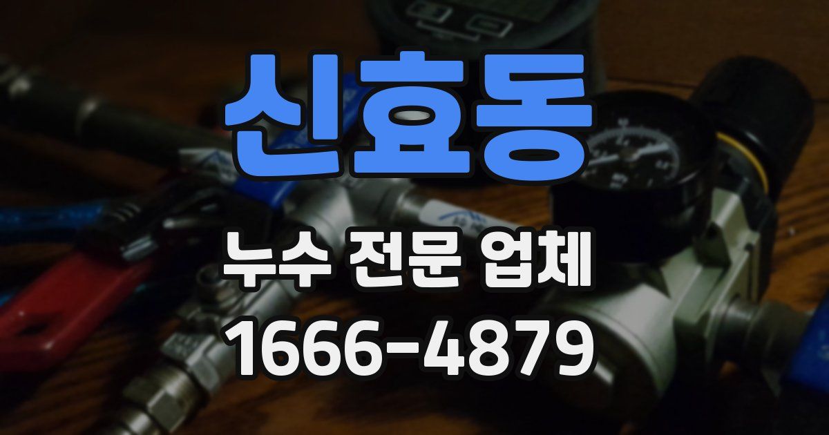 신효동 누수 전문 업체