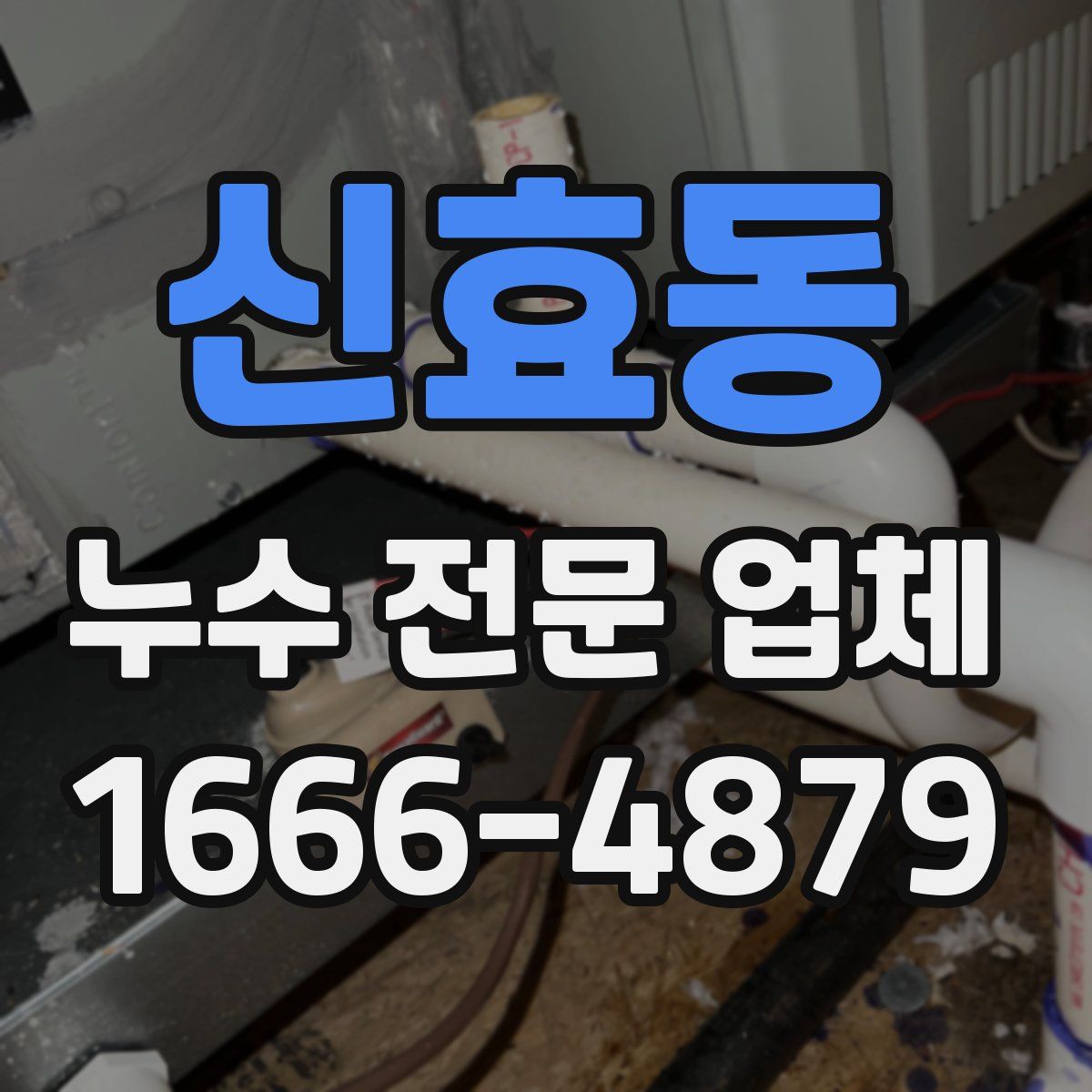 신효동 누수 전문 업체