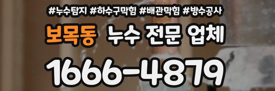 보목동 누수 전문 업체