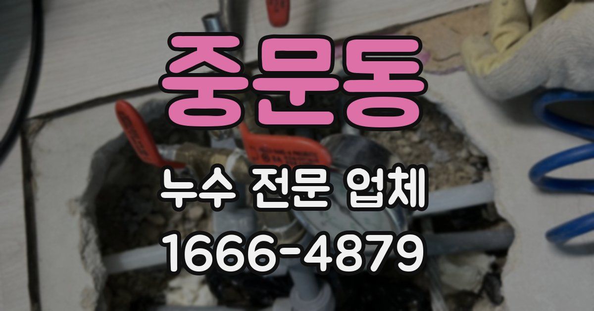 중문동 누수 전문 업체