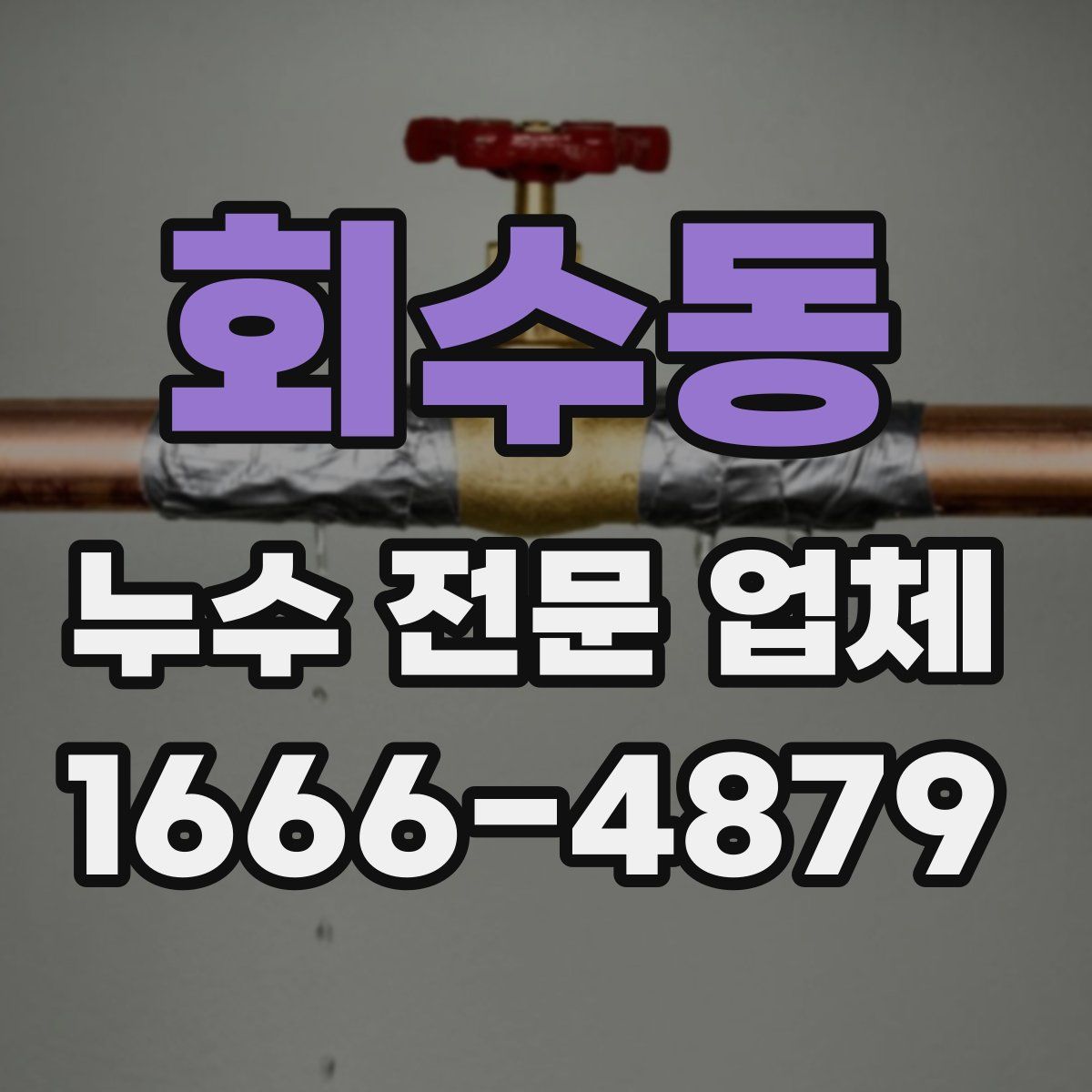 회수동 누수 전문 업체