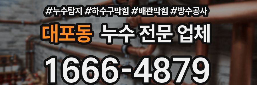 대포동 누수 전문 업체