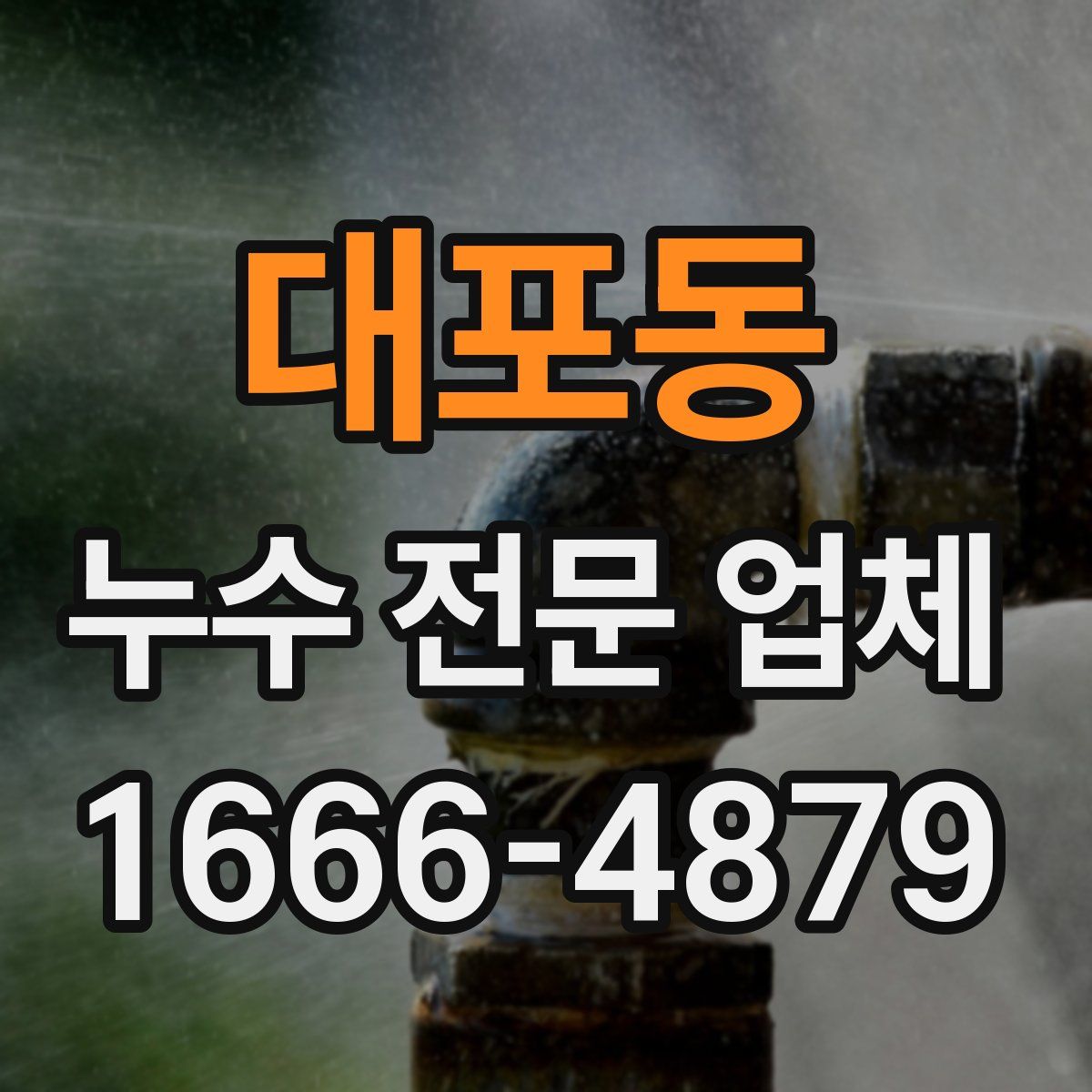 대포동 누수 전문 업체