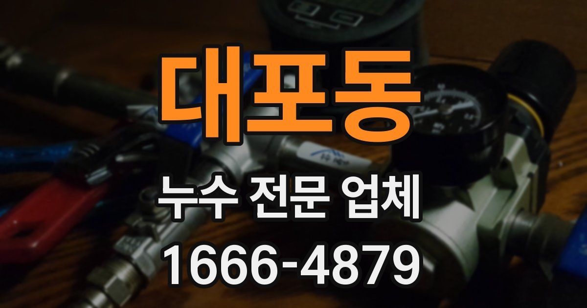 대포동 누수 전문 업체