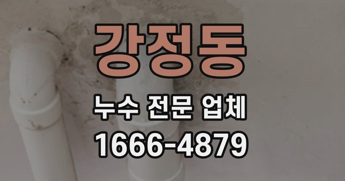 강정동 누수 전문 업체