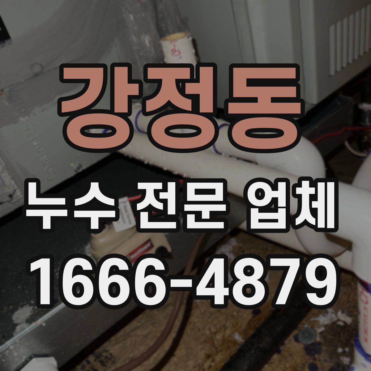강정동 누수 전문 업체