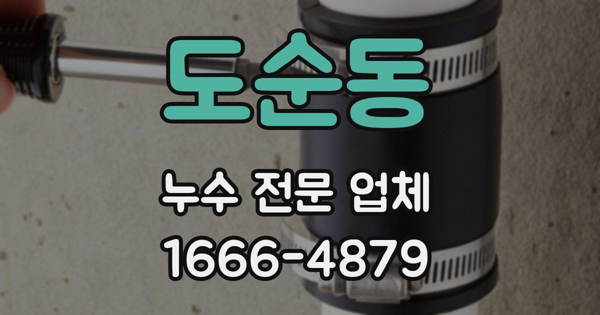 도순동 누수 전문 업체