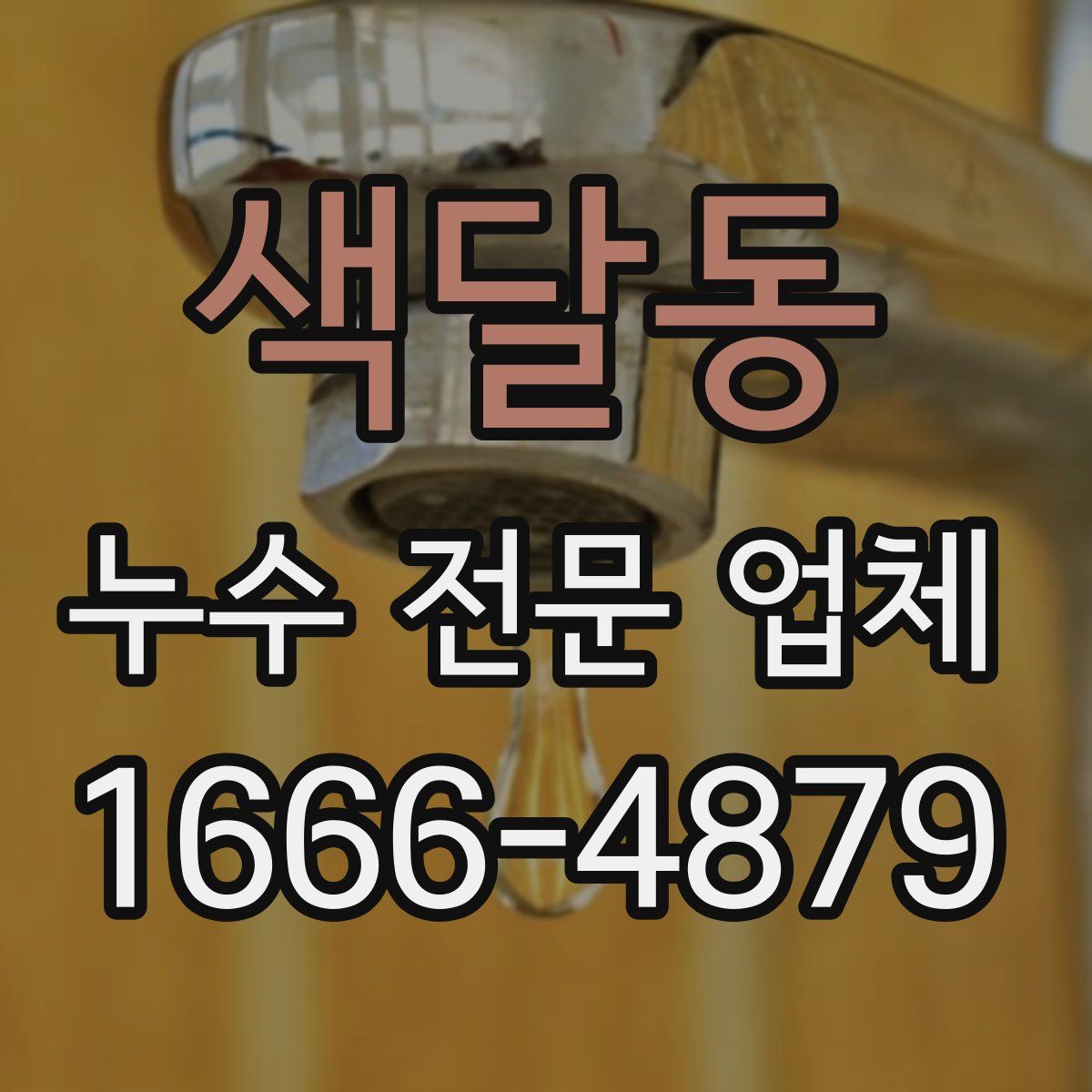 색달동 누수 전문 업체