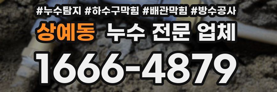 상예동 누수 전문 업체