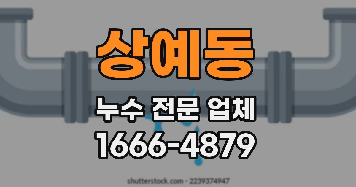 상예동 누수 전문 업체