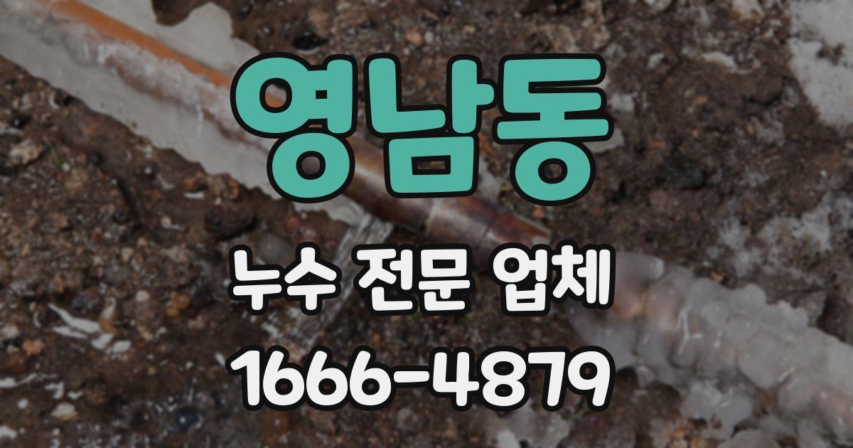 영남동 누수 전문 업체