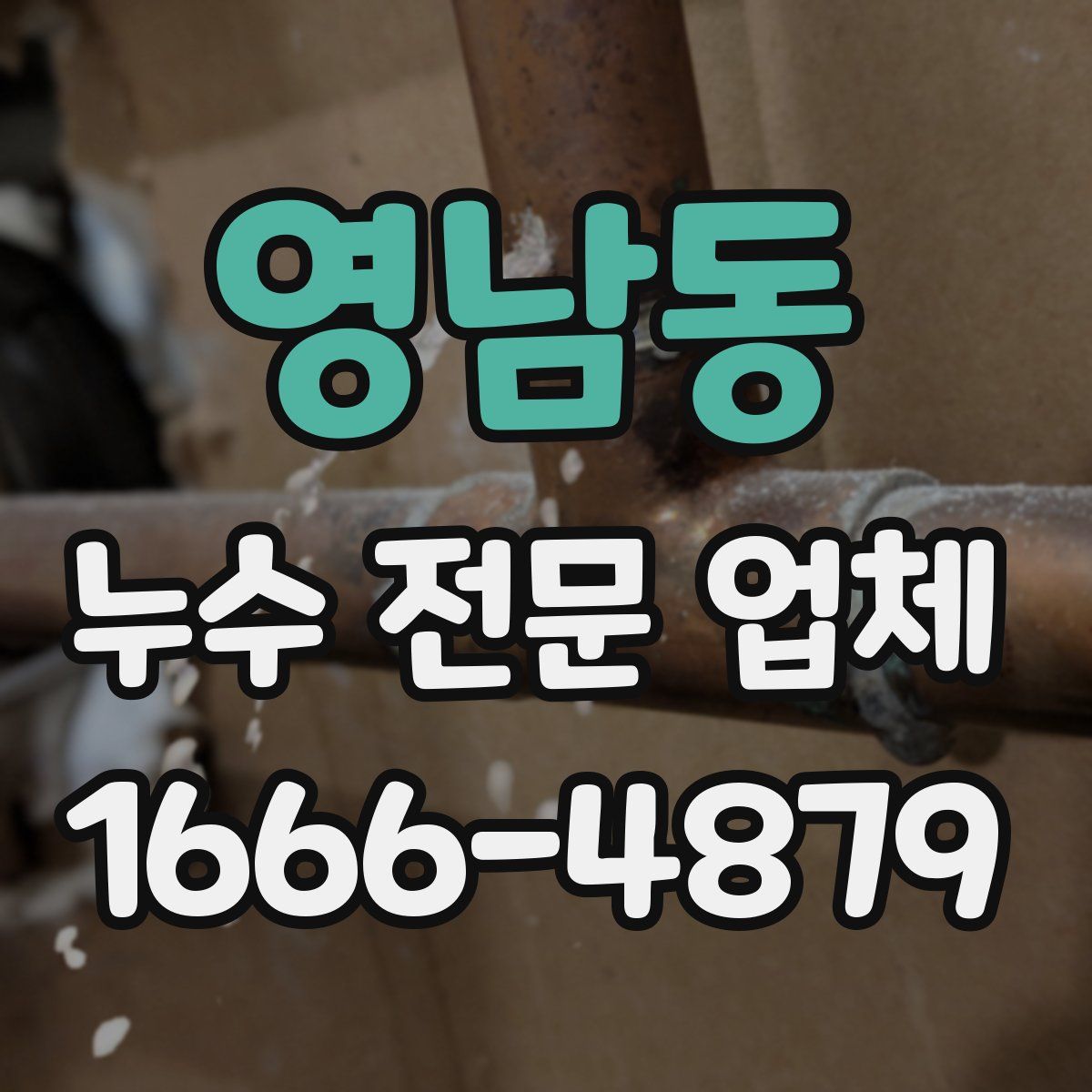 영남동 누수 전문 업체