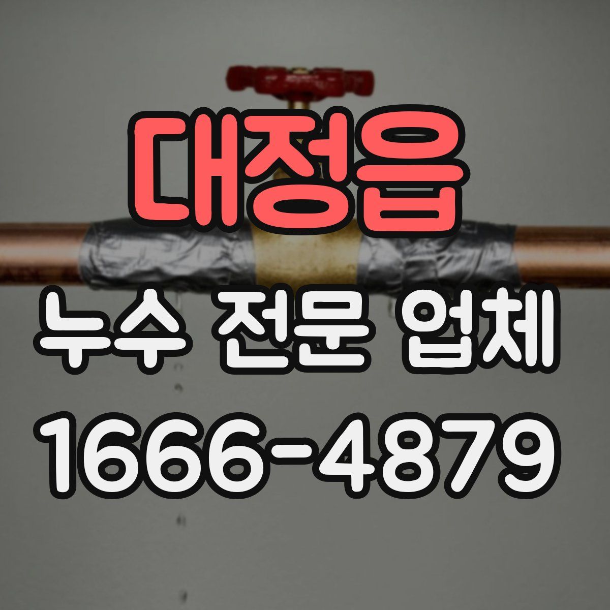 대정읍 누수 전문 업체