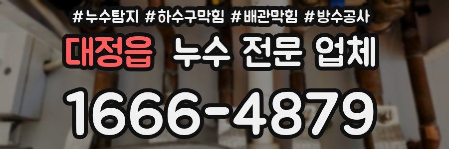 대정읍 누수 전문 업체