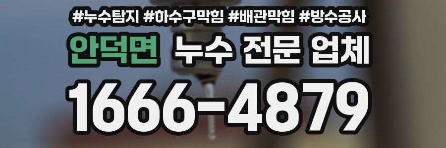 안덕면 누수 전문 업체
