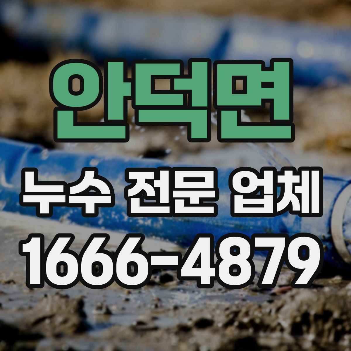 안덕면 누수 전문 업체