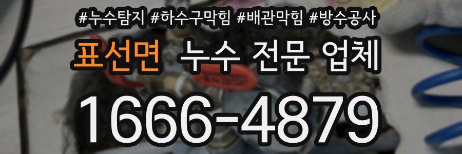 표선면 누수 전문 업체
