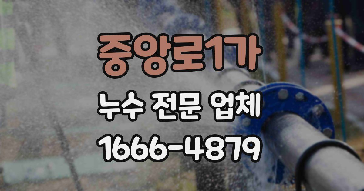 중앙로1가 누수 전문 업체