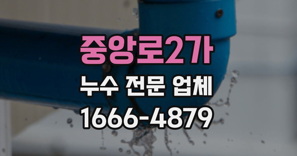 중앙로2가 누수 전문 업체
