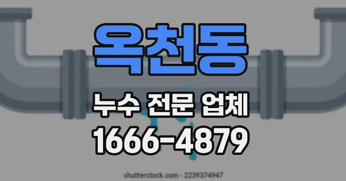 옥천동 누수 전문 업체