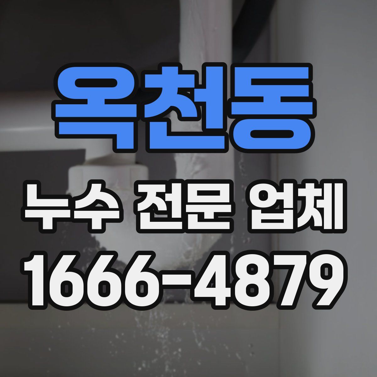 옥천동 누수 전문 업체