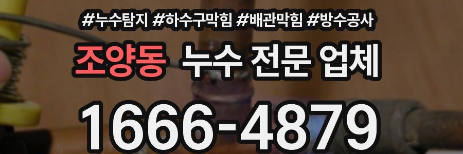 조양동 누수 전문 업체
